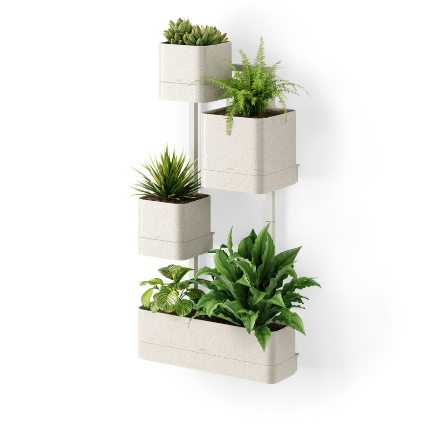 Wall Planters | color: Sand