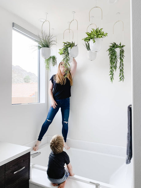 Bolo Planters Ceiling Display DIY