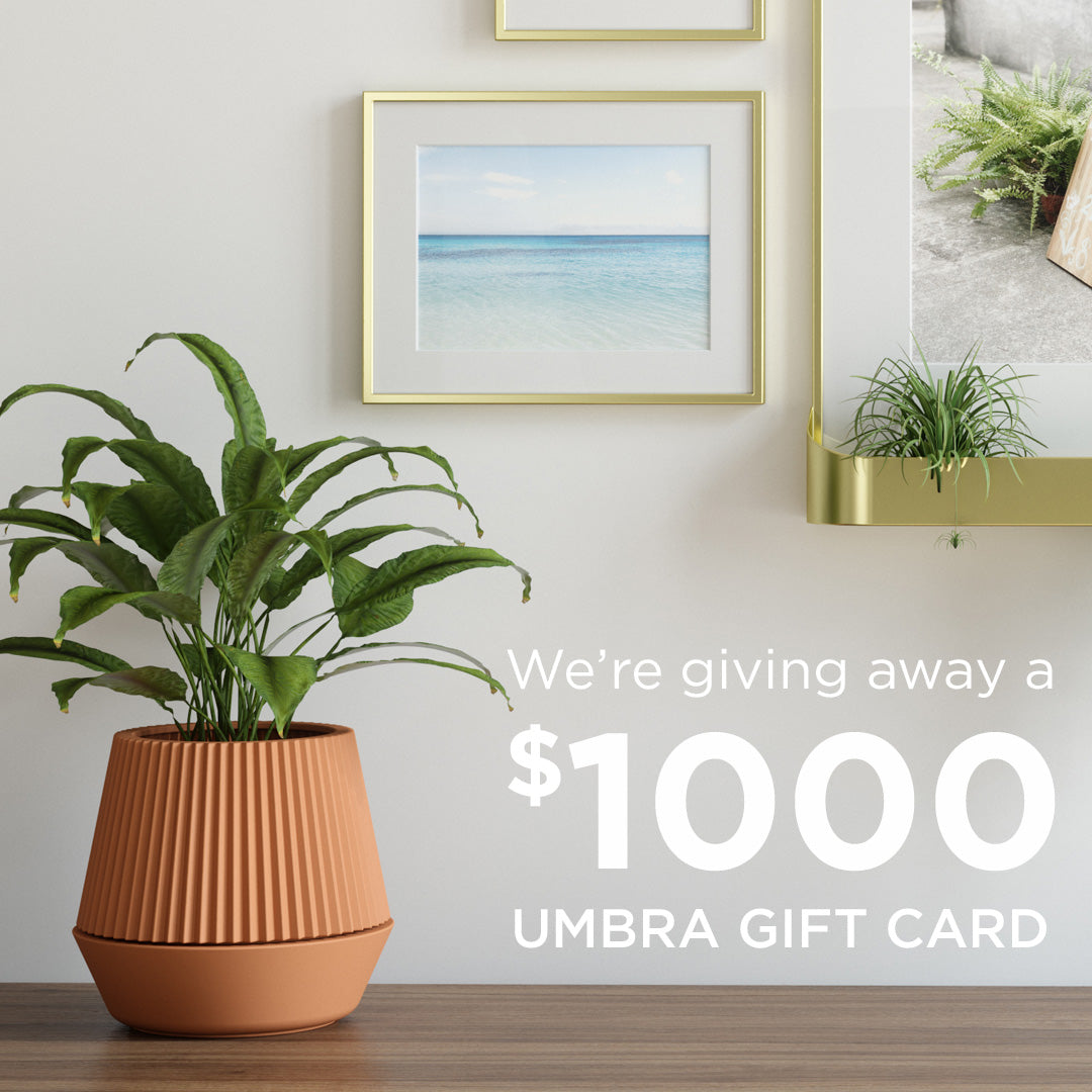 Show Us Your Umbra & Win A $1000 Gift Card