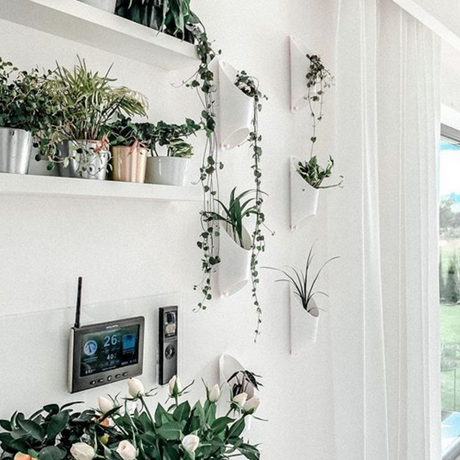 DIY Living Walls With Floralink