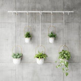 Hanging Planters | color: White-Brass | https://vimeo.com/704293407