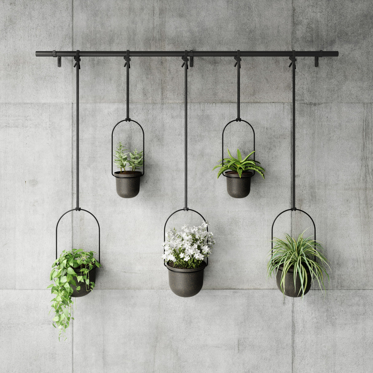 Hanging Planters | color: Black | https://vimeo.com/704293407