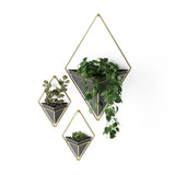 Wall Planters | color: Black-Brass