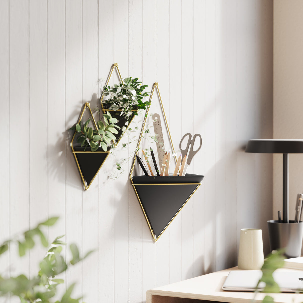Wall Planters | color: Black-Brass