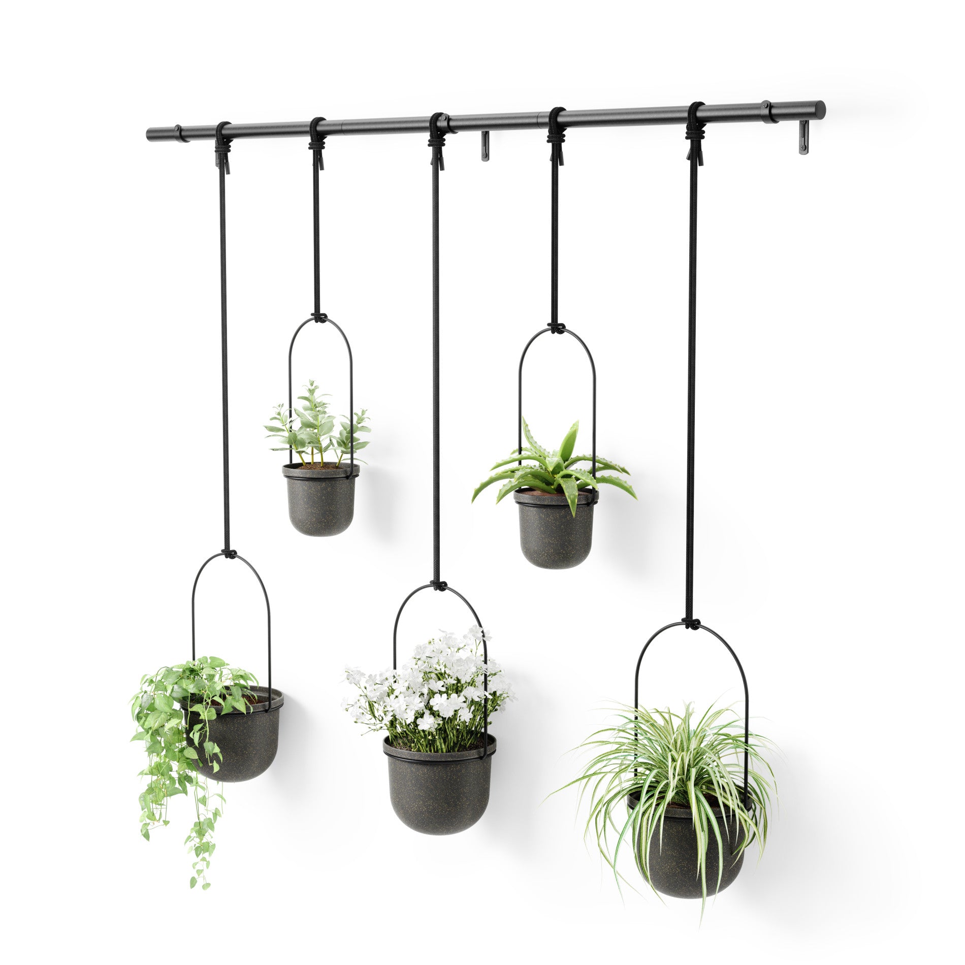 metal hanging planter Triflora Hanging Planters, Set of 5 – Umbra Europe