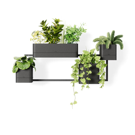 Wall Planters | color: Black