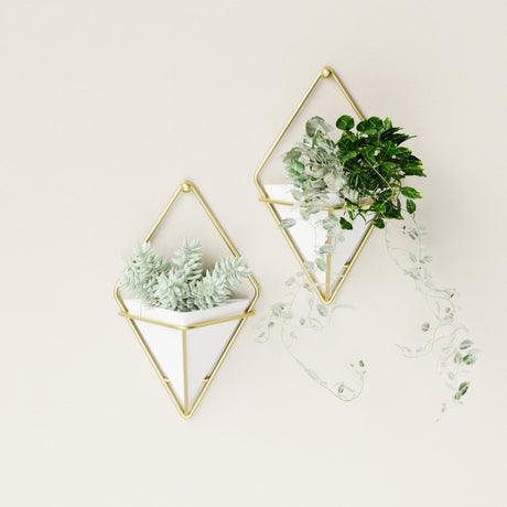 Wall Planters | color: White-Brass