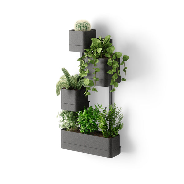 Cubiko Wandpflanzgefäß – Umbra Europe