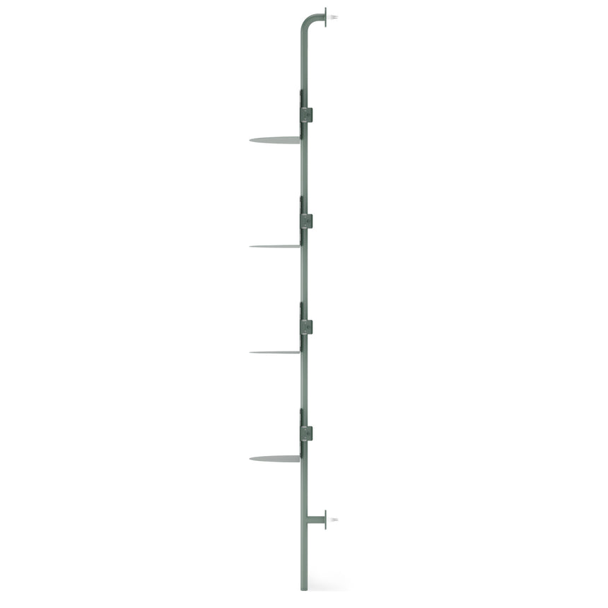 Shelves & Magazine Racks | color: Spruce
