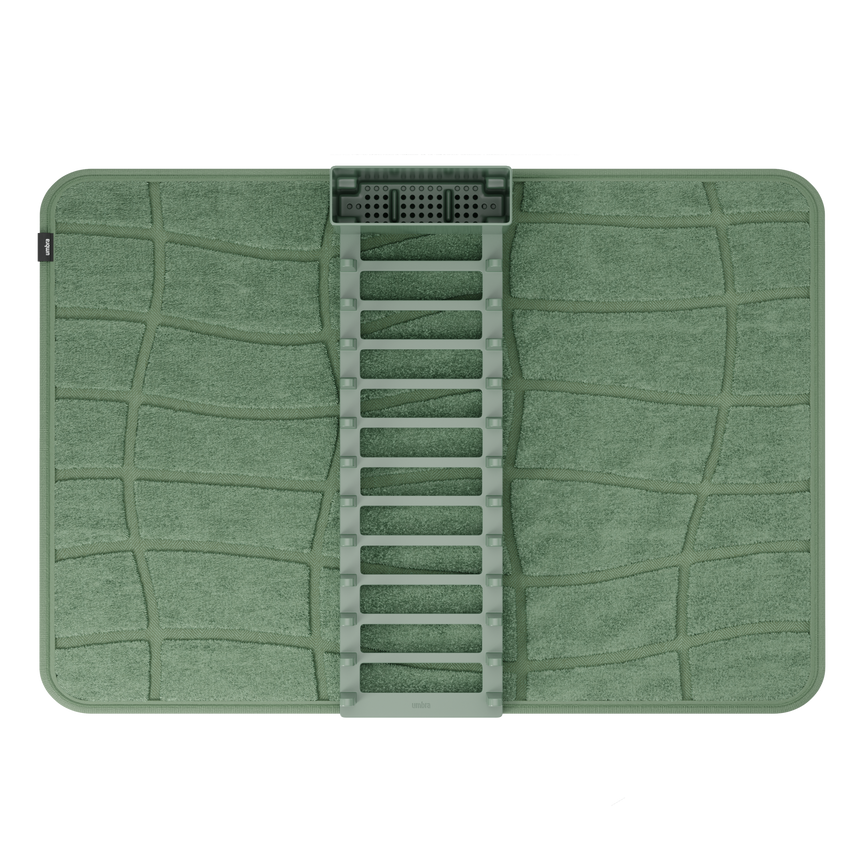 | color: Spruce
