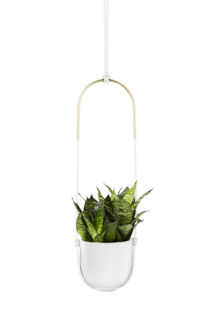 Hanging Planters | color: White