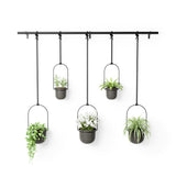 Hanging Planters | color: Black