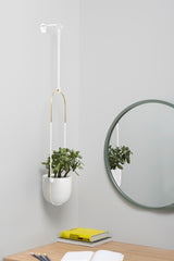 Hanging Planters | color: White | https://player.vimeo.com/video/255427599