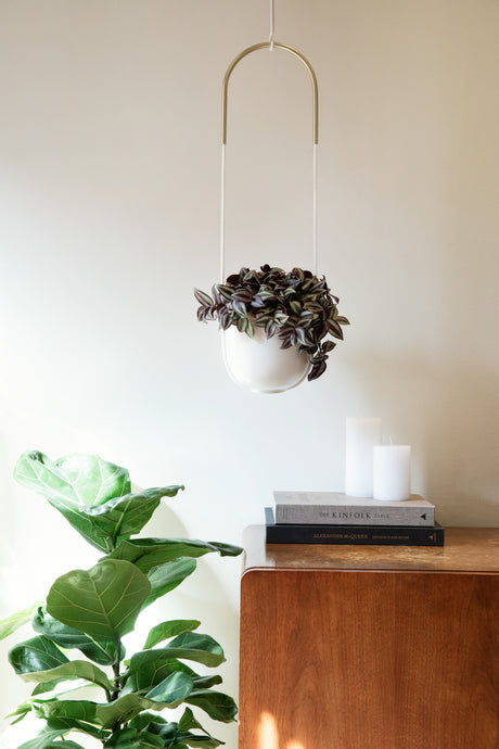Hanging Planters | color: White | Hover