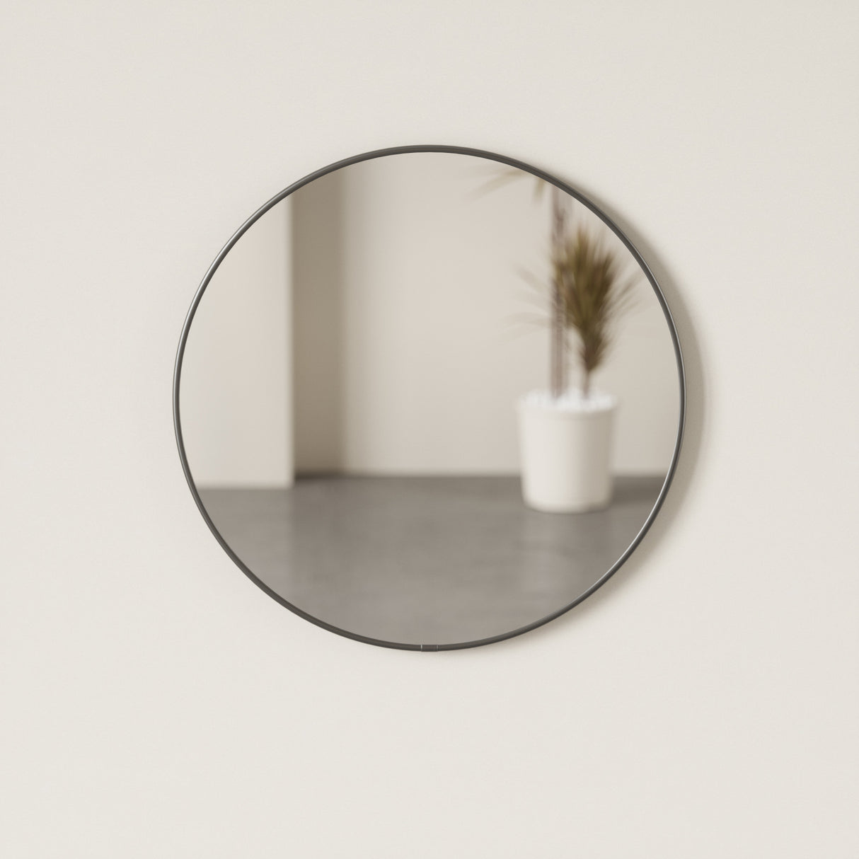 Wall Mirrors | color: Metallic-Titanium | size: 24" (61 cm)
